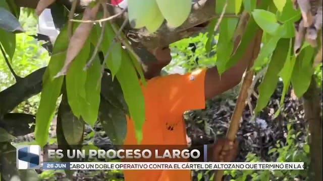 Noticias Guerrero del 26 de junio 2026