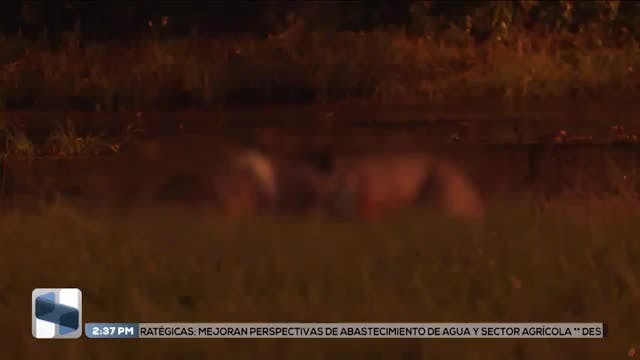 Noticias Jalisco del 1 de julio 2026
