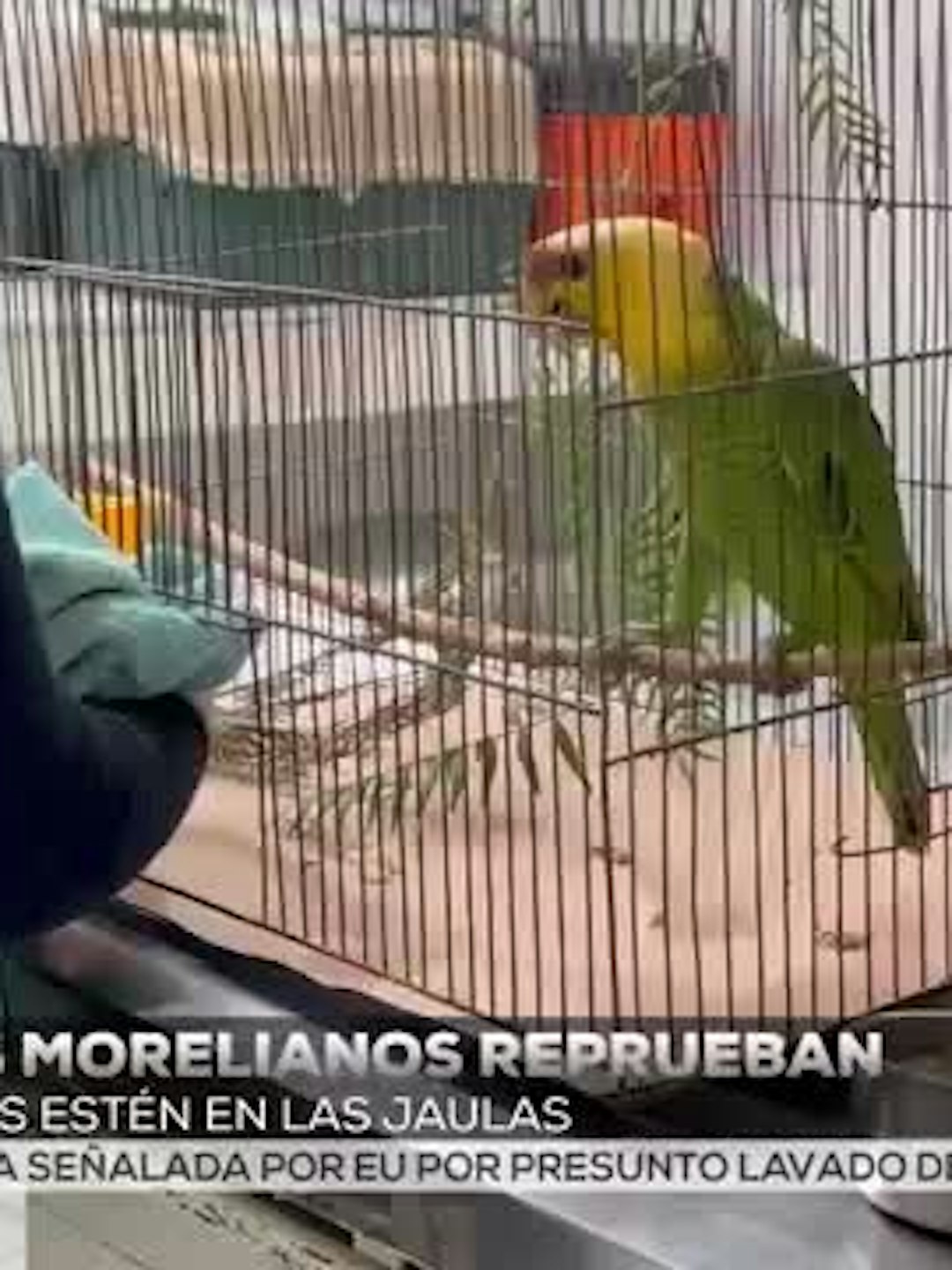 Noticias Michoacán del 3 de julio 2026