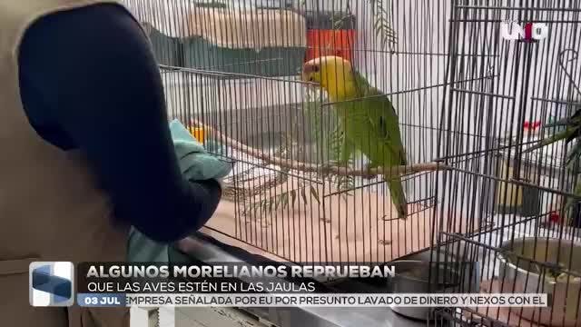 Noticias Michoacán del 3 de julio 2026