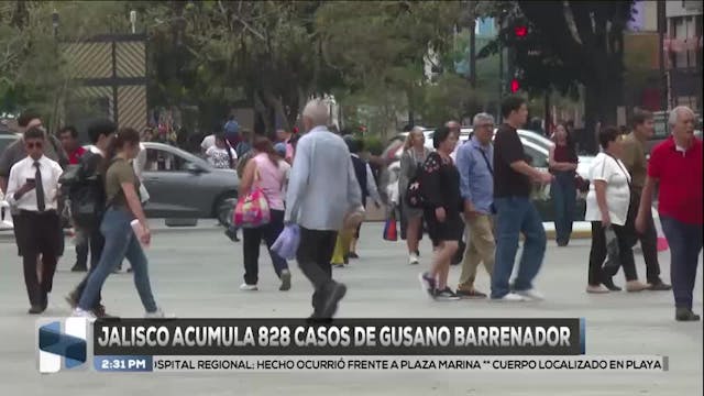 Noticias Jalisco del 8 de julio 2026