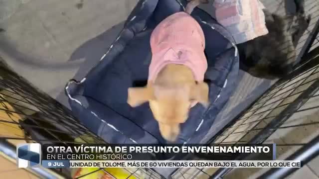 Noticias Zacatecas del 9 de julio 2026