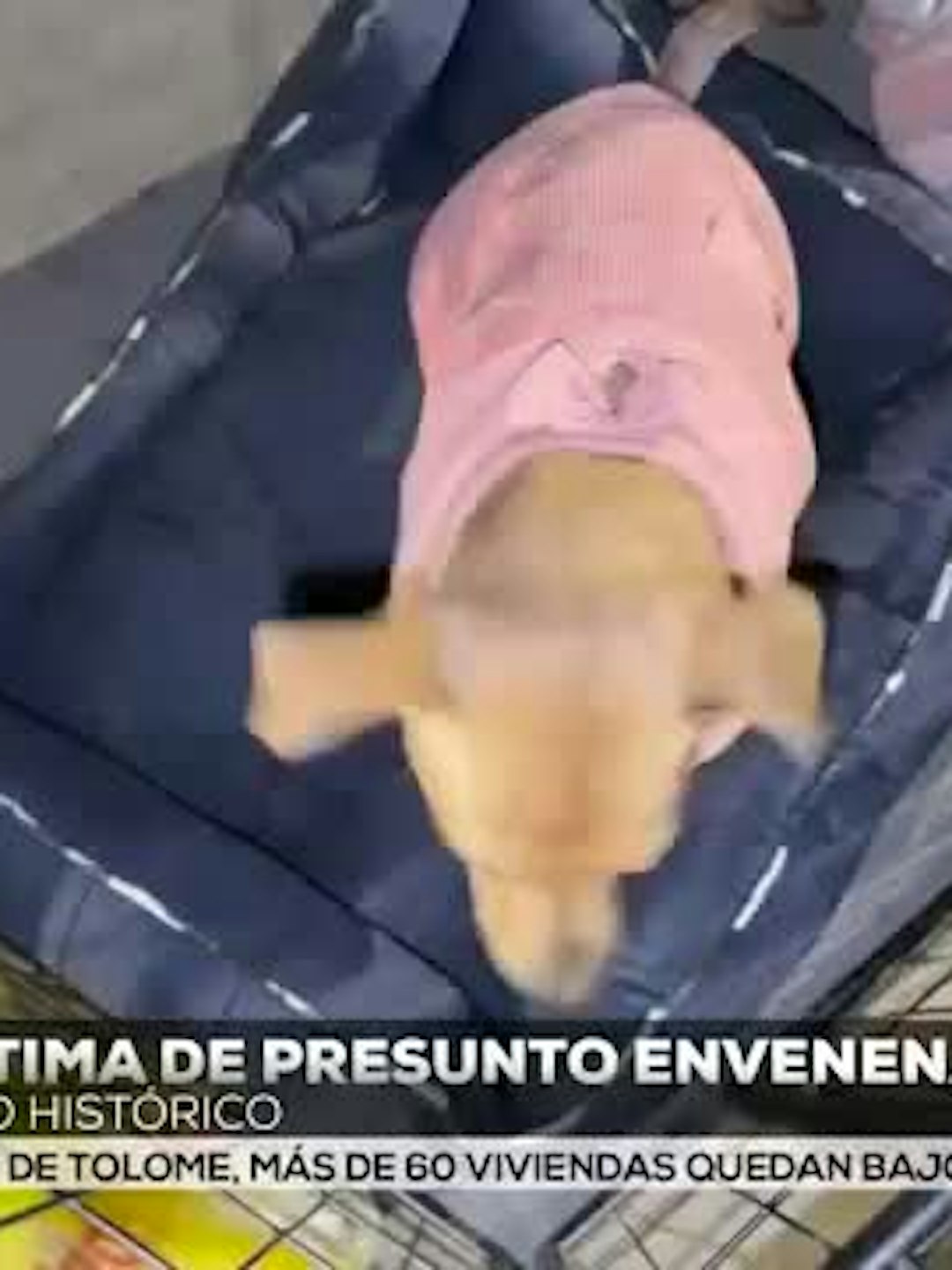 Noticias Zacatecas del 9 de julio 2026