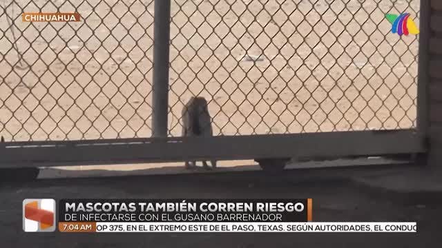 Noticias Ciudad Juárez del 23 de julio 2026