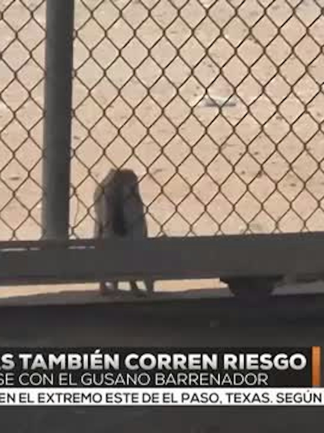Noticias Ciudad Juárez del 23 de julio 2026