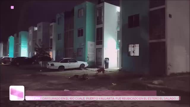 Noticias Jalisco del 27 de julio 2026