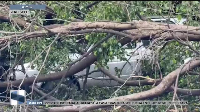 Noticias Jalisco del 28 de julio 2026