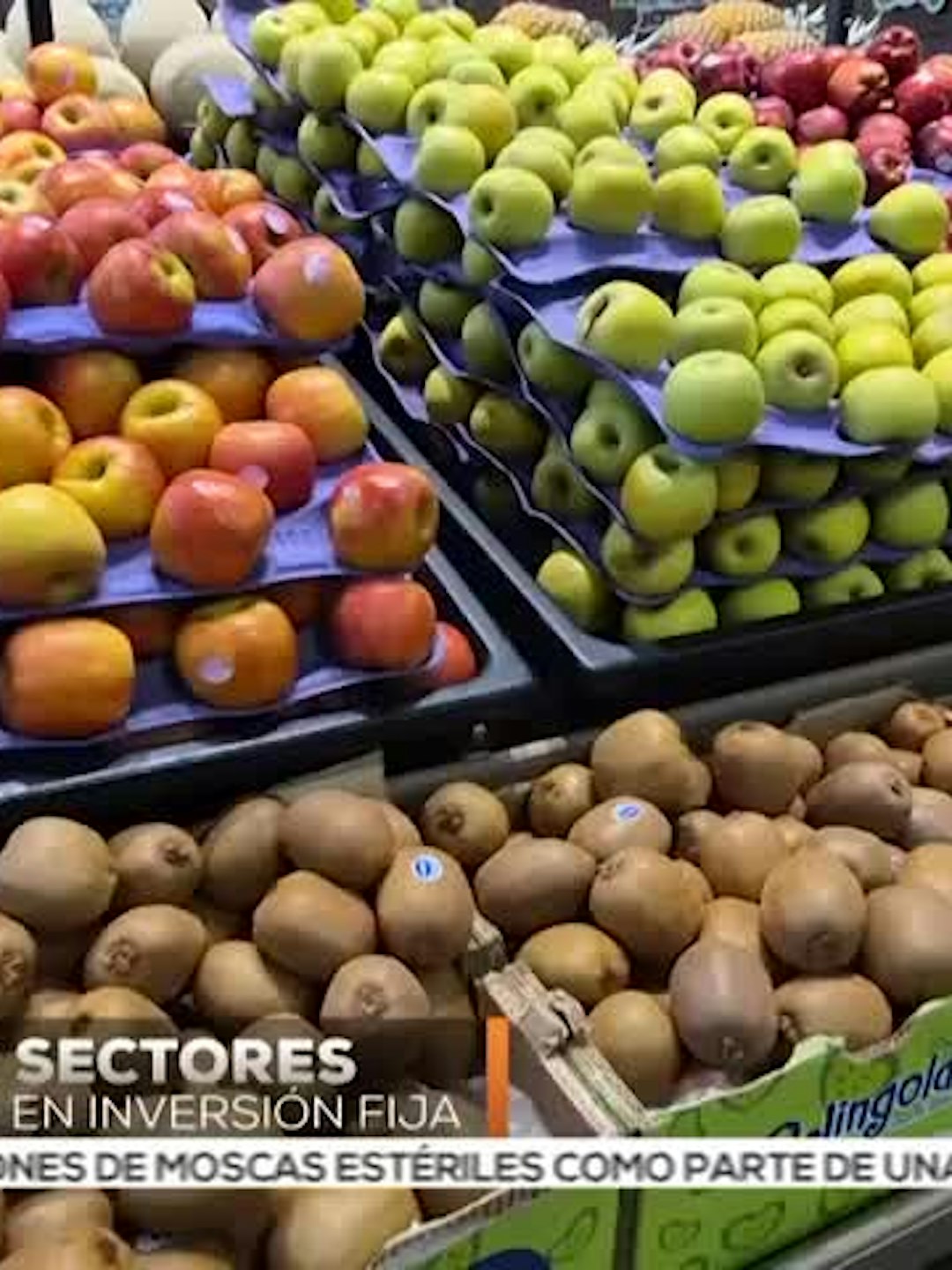Noticias Ciudad Juárez del 29 de julio 2026