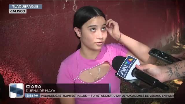 Noticias Jalisco del 29 de julio 2026