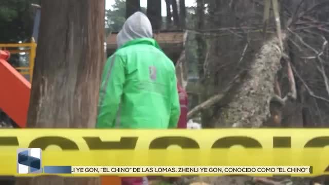 Noticias Estado De México del 31 de julio 2026