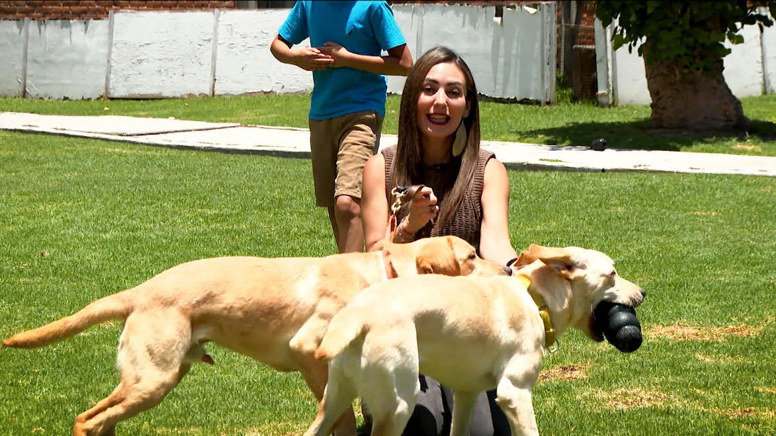 Alejandra Carvajal nos platica cómo se preparan los perros de asistencia para cambiar la vida de miles de personas