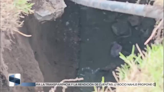Noticias Estado De México del 4 de agosto 2026