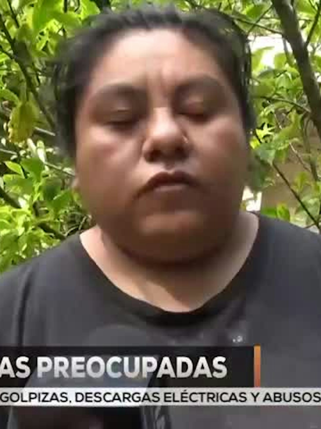 Noticias Veracruz del 10 de agosto 2026