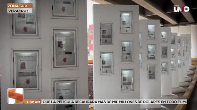 Noticias Veracruz del 12 de agosto 2026