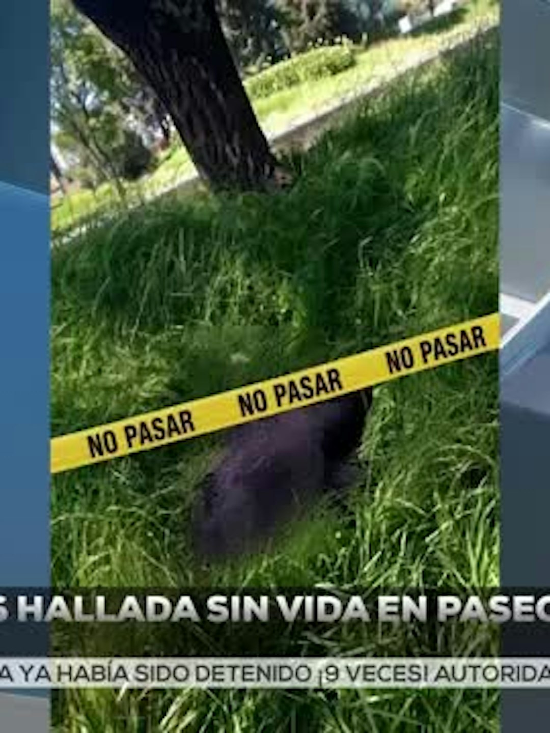 Noticias Estado De México del 19 de agosto 2026