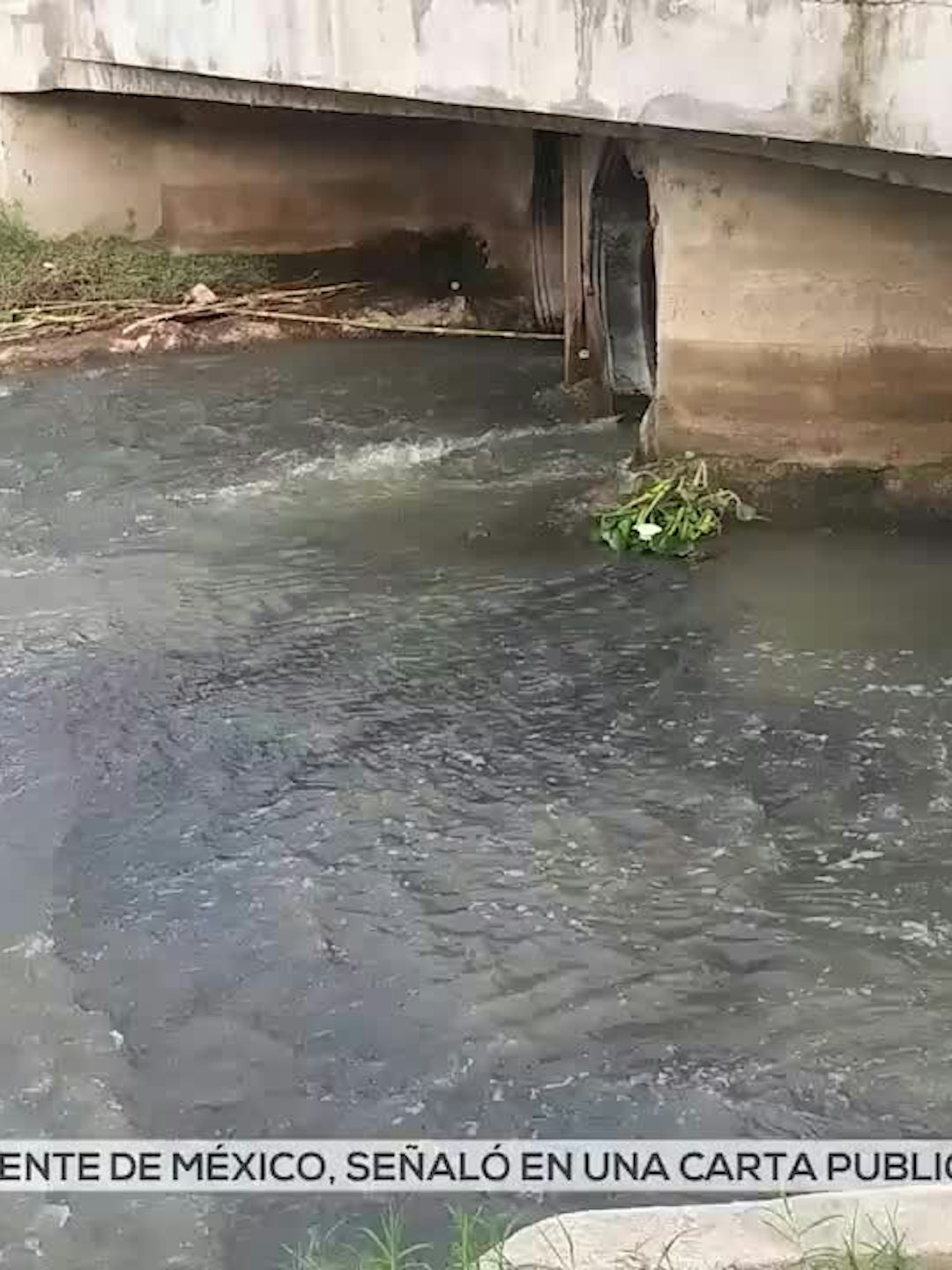 Noticias Michoacán del 14 de agosto 2026