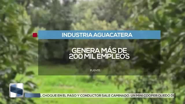 Noticias Michoacán del 10 de agosto 2026