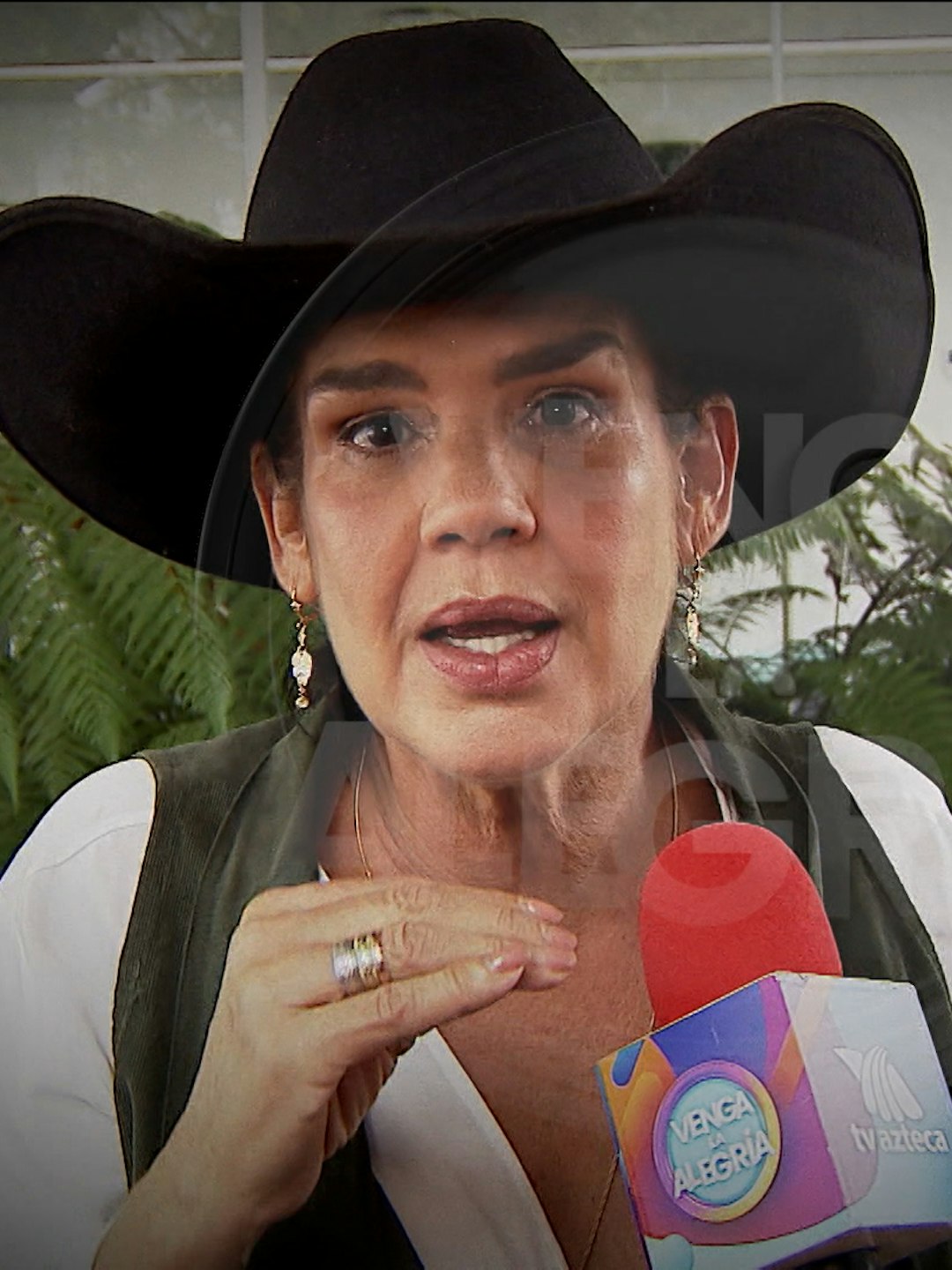 "¡Mustia!”, Niurka alza la voz y defiende a José Manuel Figueroa de los señalamientos de Ninel Conde