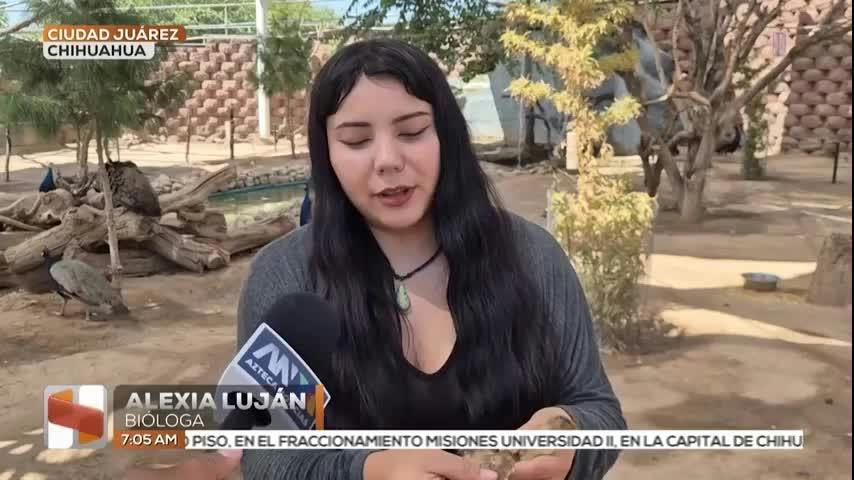 Noticias Ciudad Juárez del 21 de agosto 2026