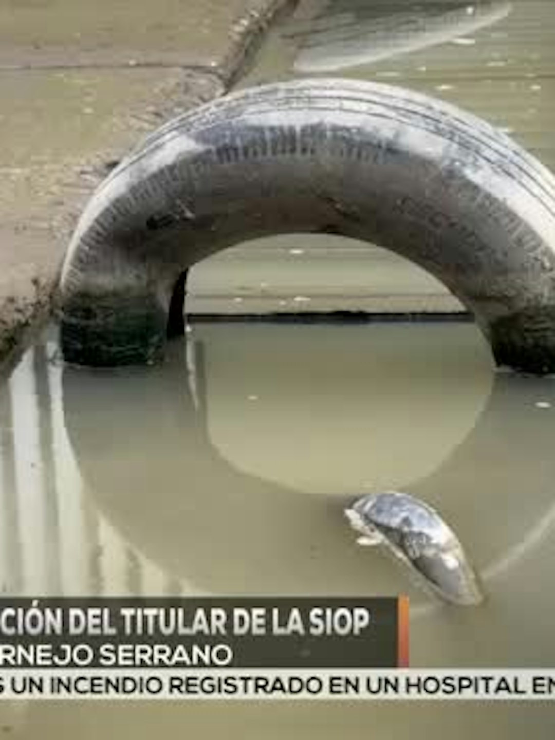 Noticias Veracruz del 27 de agosto 2026