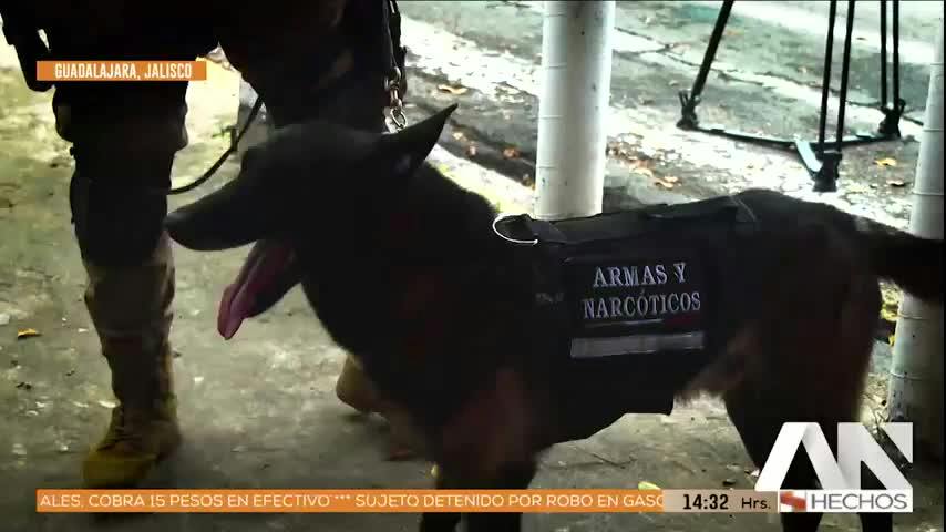 Noticias Jalisco del 2 de septiembre 2026