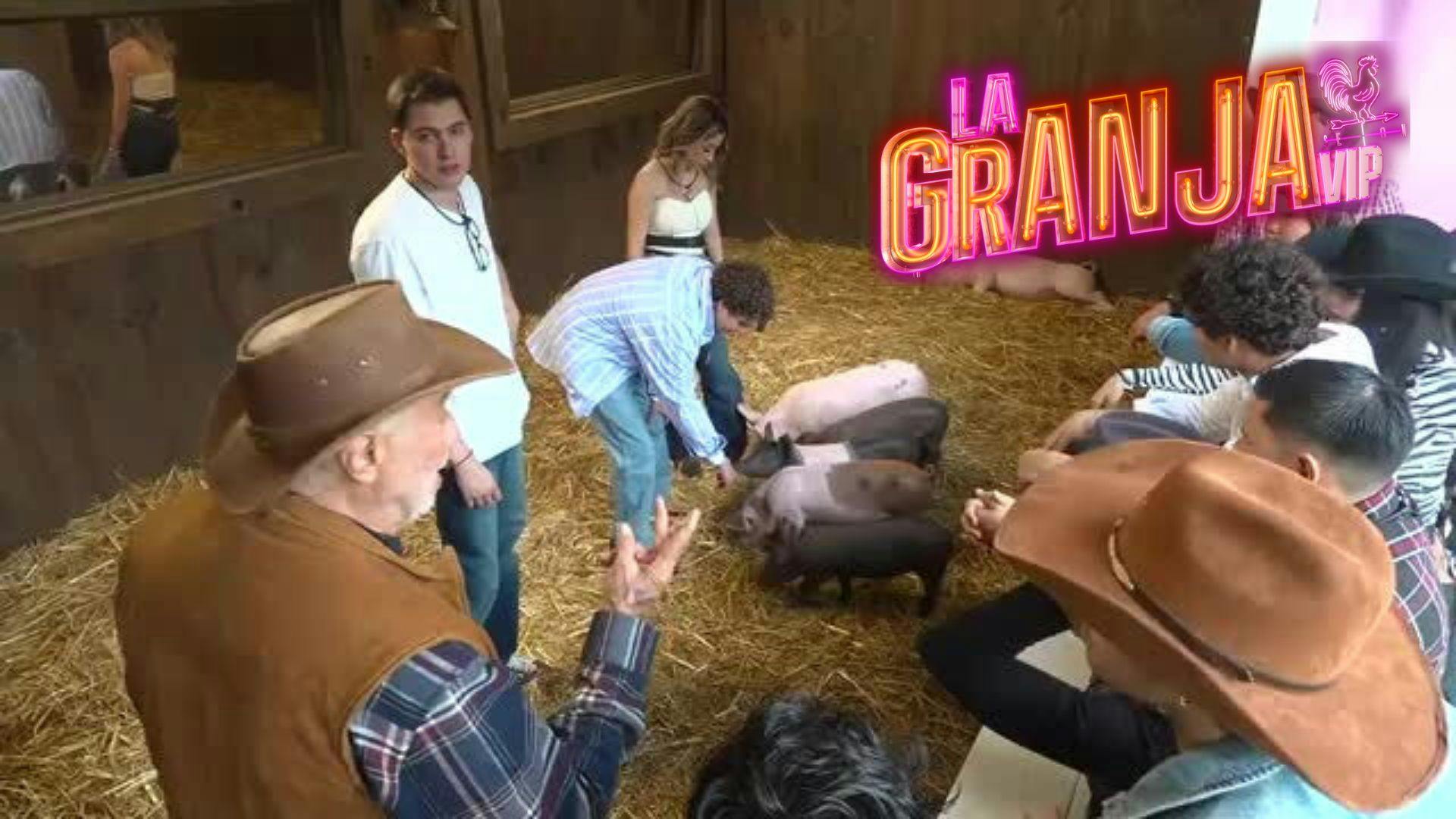 Tío Pepe REVELA cuál es el alimento más importante para los cerdos en la experiencia 24/7 de la Granja VIP Segunda Temporada (VÍDEO)