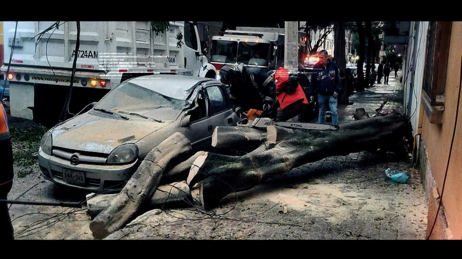 Jorge “El Diablo” Becerril reporta árboles caídos en CDMX
