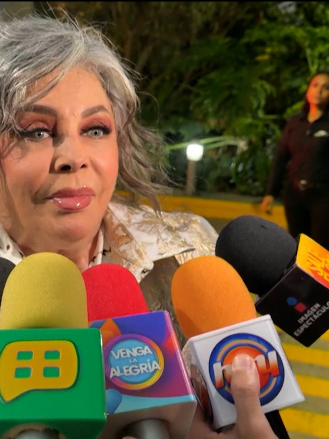 Michel y Cristian Castro aplauden reconocimiento que recibió su mamá Verónica Castro por 60 años de trayectoria