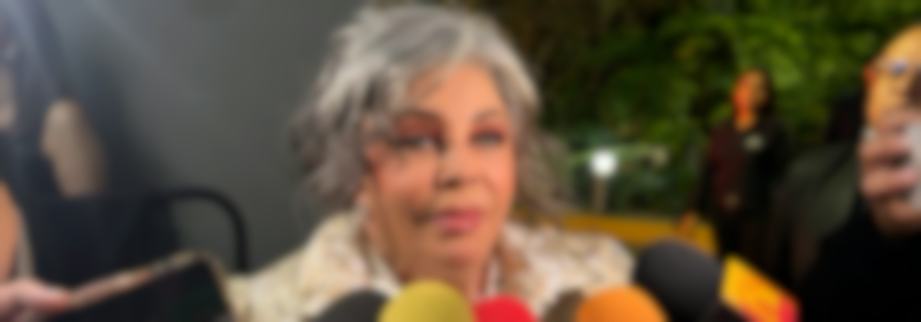 Michel y Cristian Castro aplauden reconocimiento que recibió su mamá Verónica Castro por 60 años de trayectoria