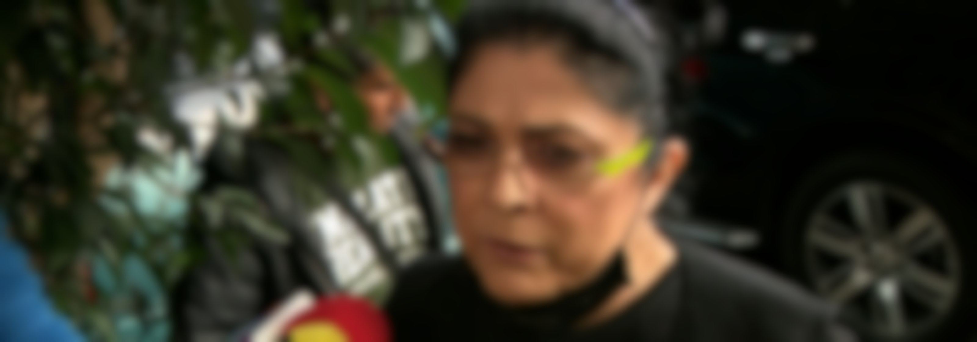 Victoria Ruffo reacciona a la supuesta separación de José Eduardo Derbez y Paola Dalay
