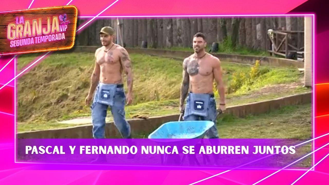 "¿Qué va a decir tu mujer?": Así se divierten Pascal Nadaud y Fernando Lozada en La Granja VIP Segunda Temporada