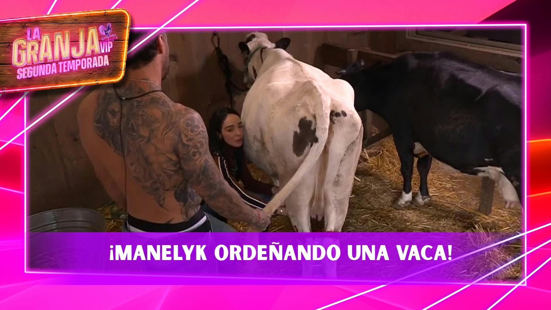 Manelyk cumple sus funciones de Granjera y ORDEÑÓ a una vaca ¿te lo imaginabas?