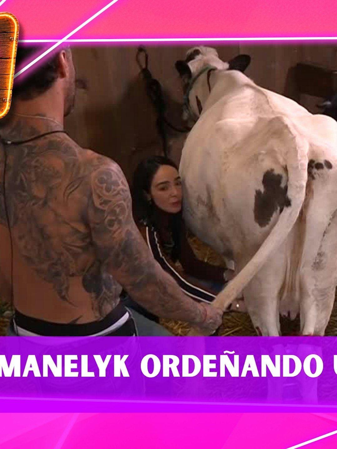 Manelyk cumple sus funciones de Granjera y ORDEÑÓ a una vaca ¿te lo imaginabas?