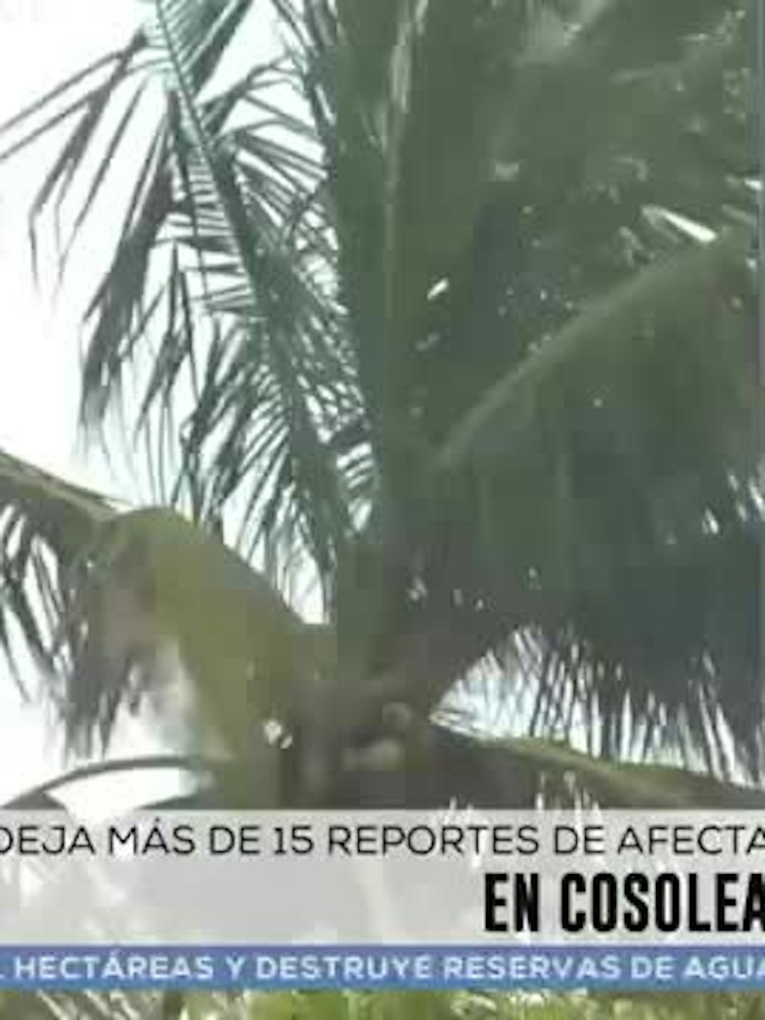 Noticias Veracruz del 10 de septiembre 2026