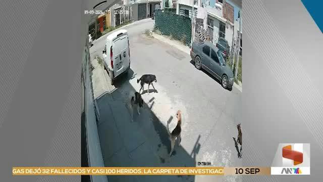 Noticias Zacatecas del 10 de septiembre 2026