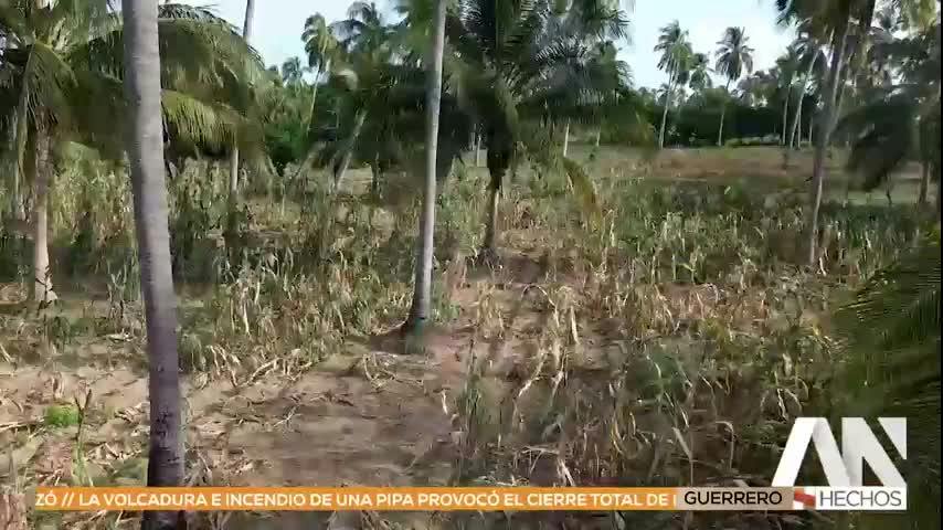 Noticias Guerrero del 11 de septiembre 2026