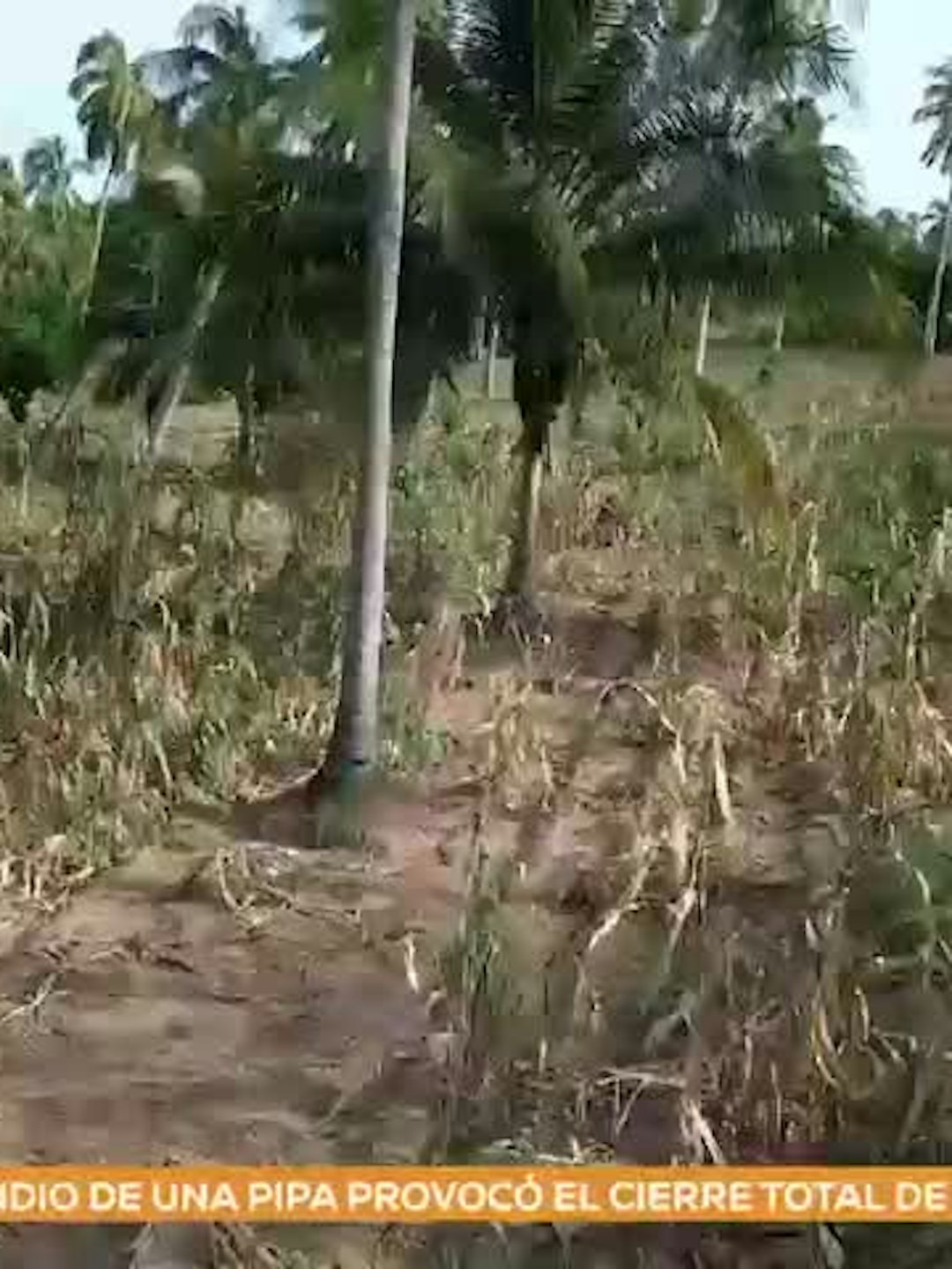 Noticias Guerrero del 11 de septiembre 2026
