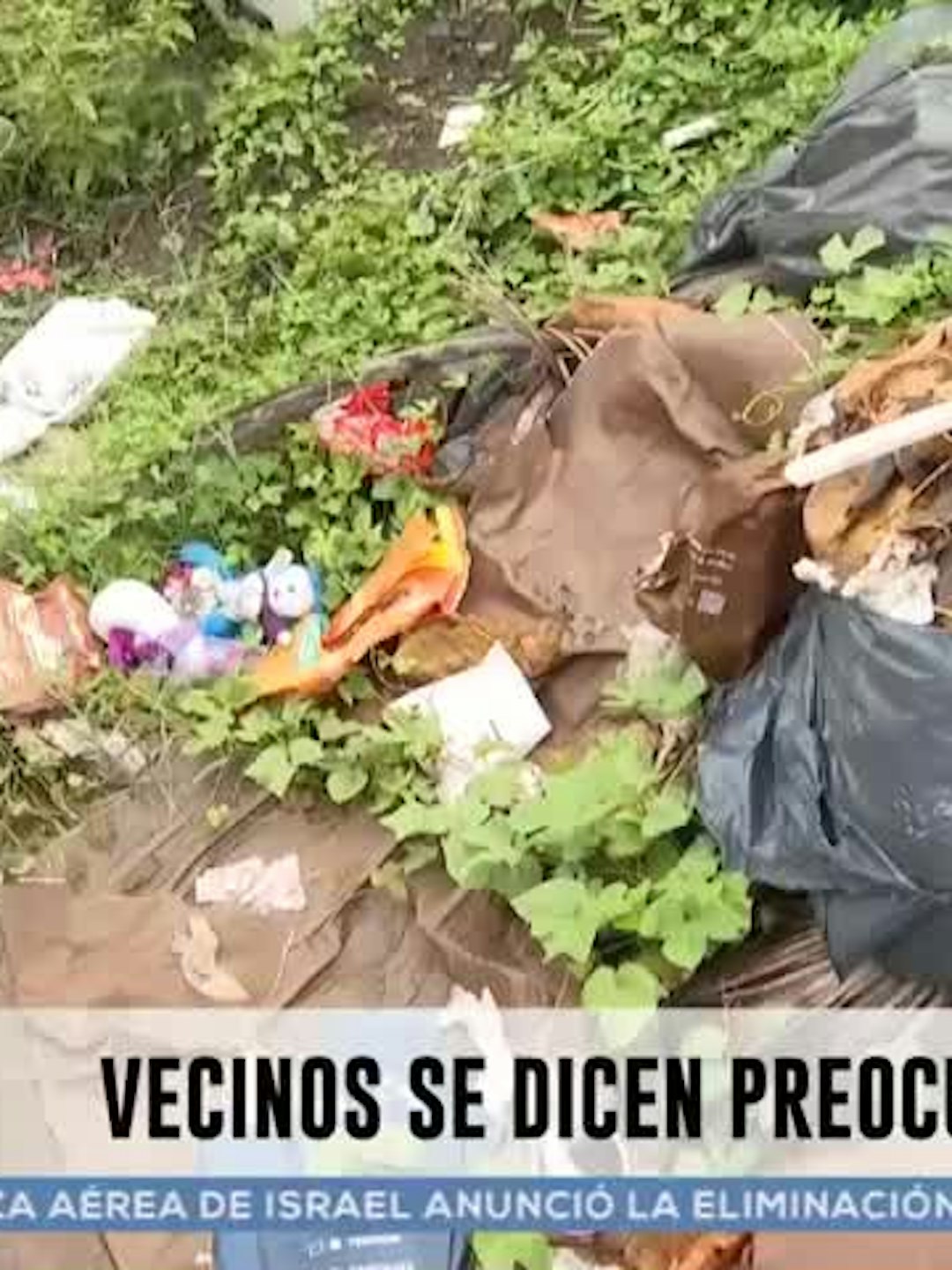 Noticias Veracruz del 16 de septiembre 2026