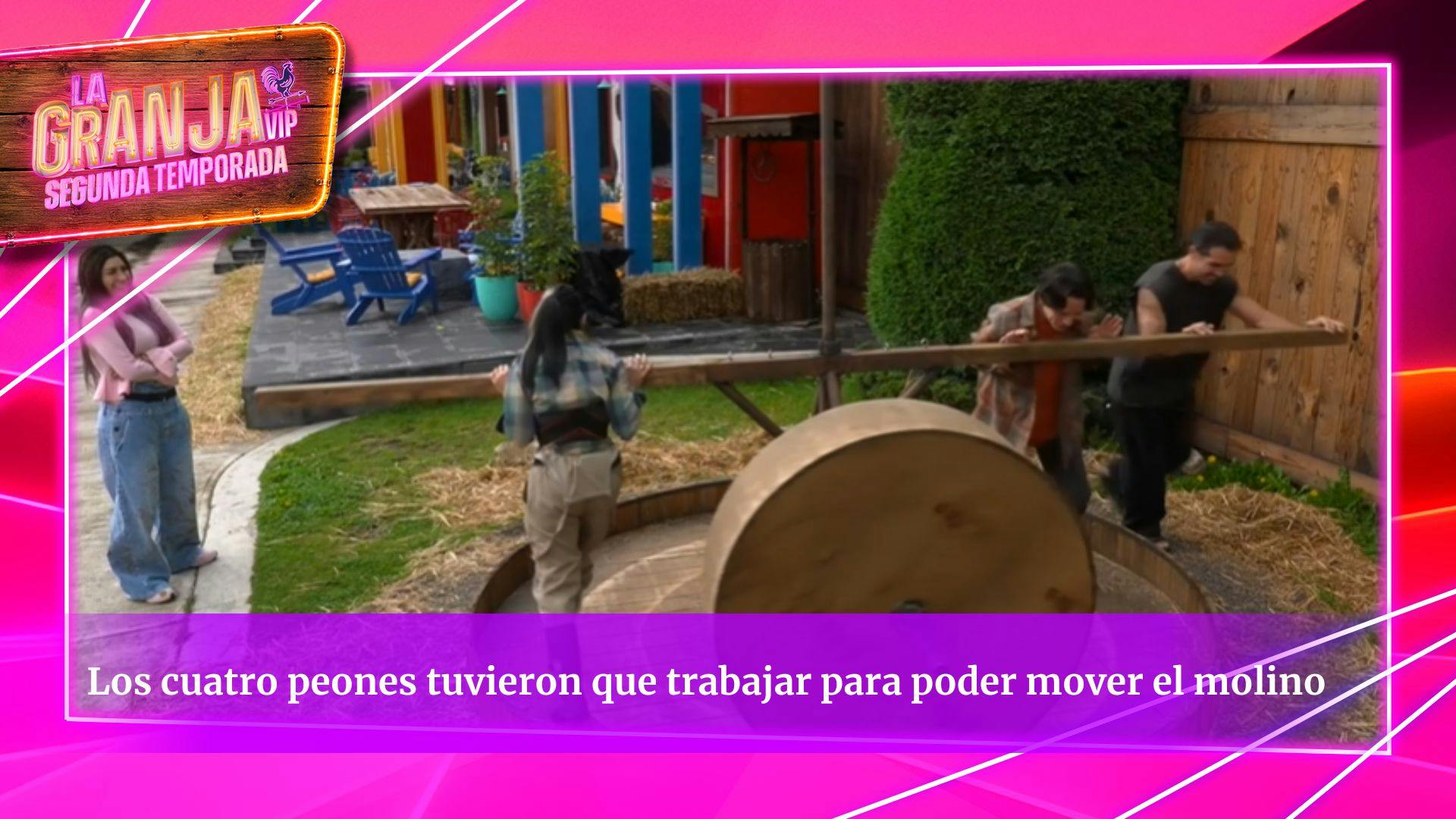 Kunno y Mono enfrentan castigo y todos los Granjeros sufrirán las consecuencias