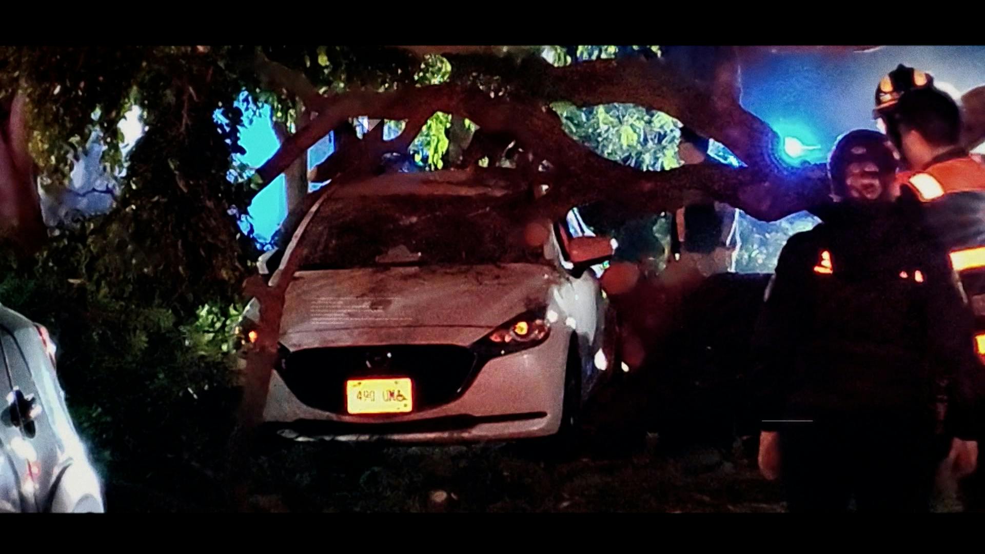 Jorge “El Diablo Becerril” reporta: Árbol de 20 metros cae sobre dos autos en CDMX