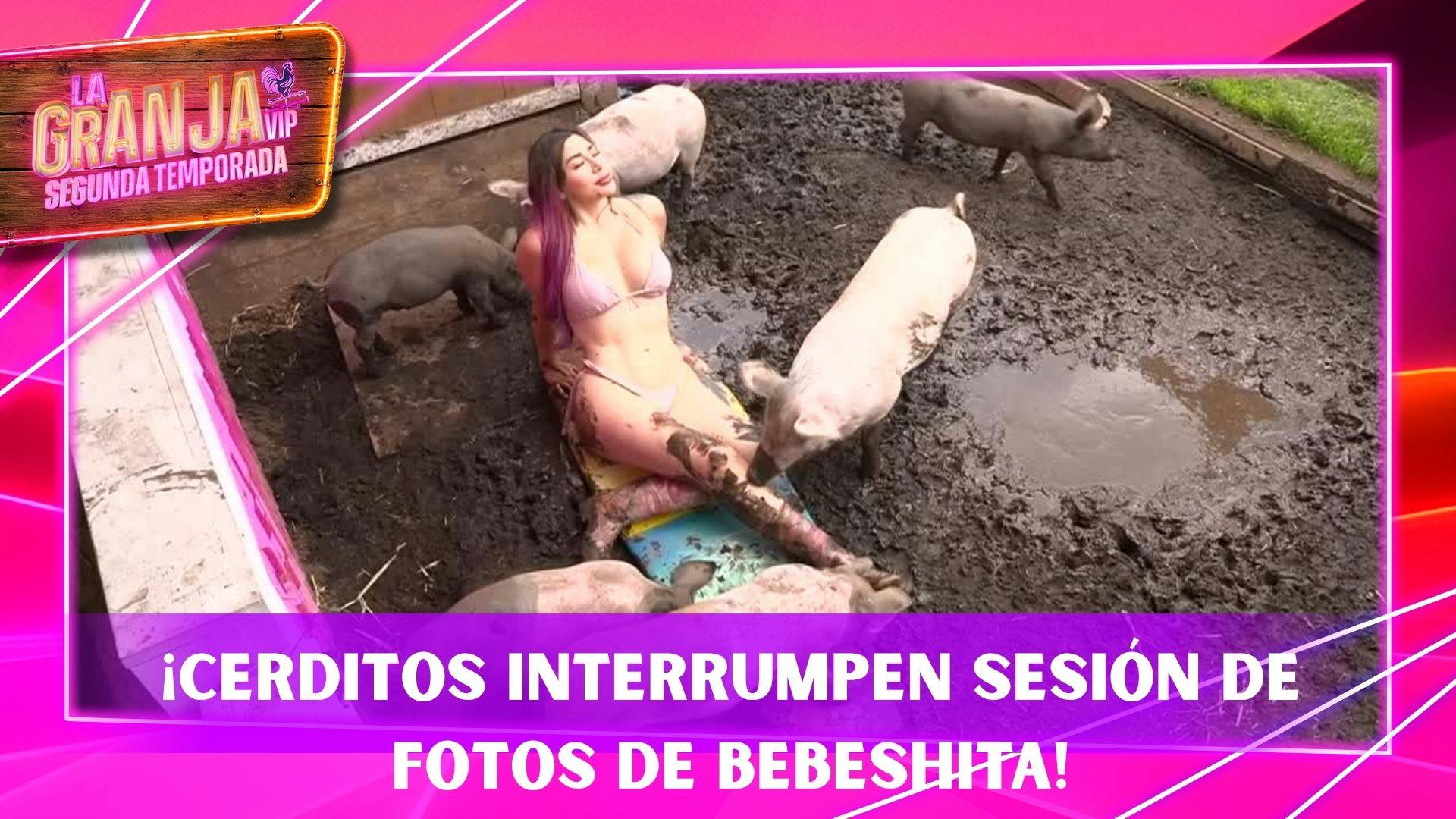 Cerditos acorralan a La Bebeshita durante sesión de fotos del Calendario Granjero: “¡Me está agarrando el calzón!”
