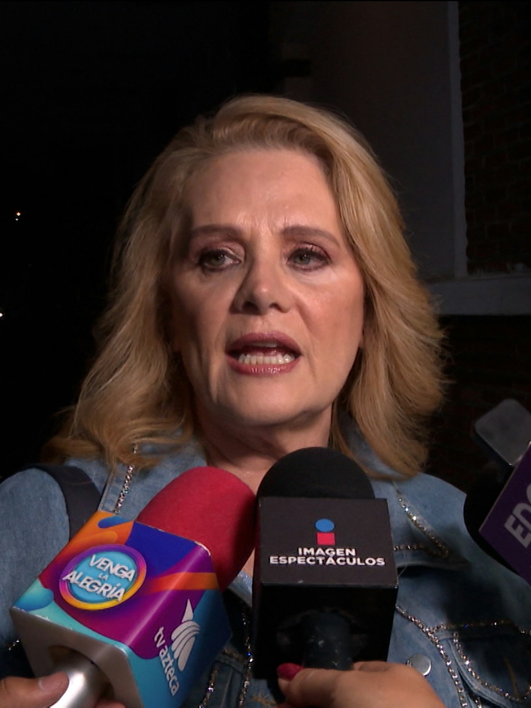 ¿Aún suspira por ‘El Sol’? ¡Así reaccionó Erika Buenfil a la nueva gira de Luis Miguel!