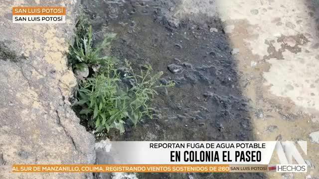 Noticias San Luis Potosí del 24 de septiembre 2026