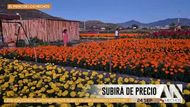 Noticias Oaxaca del 24 de septiembre 2026