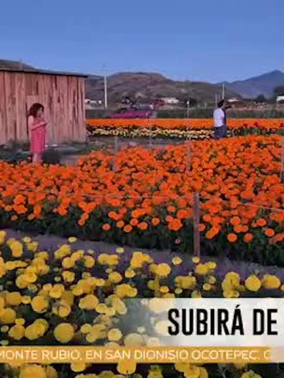 Noticias Oaxaca del 24 de septiembre 2026