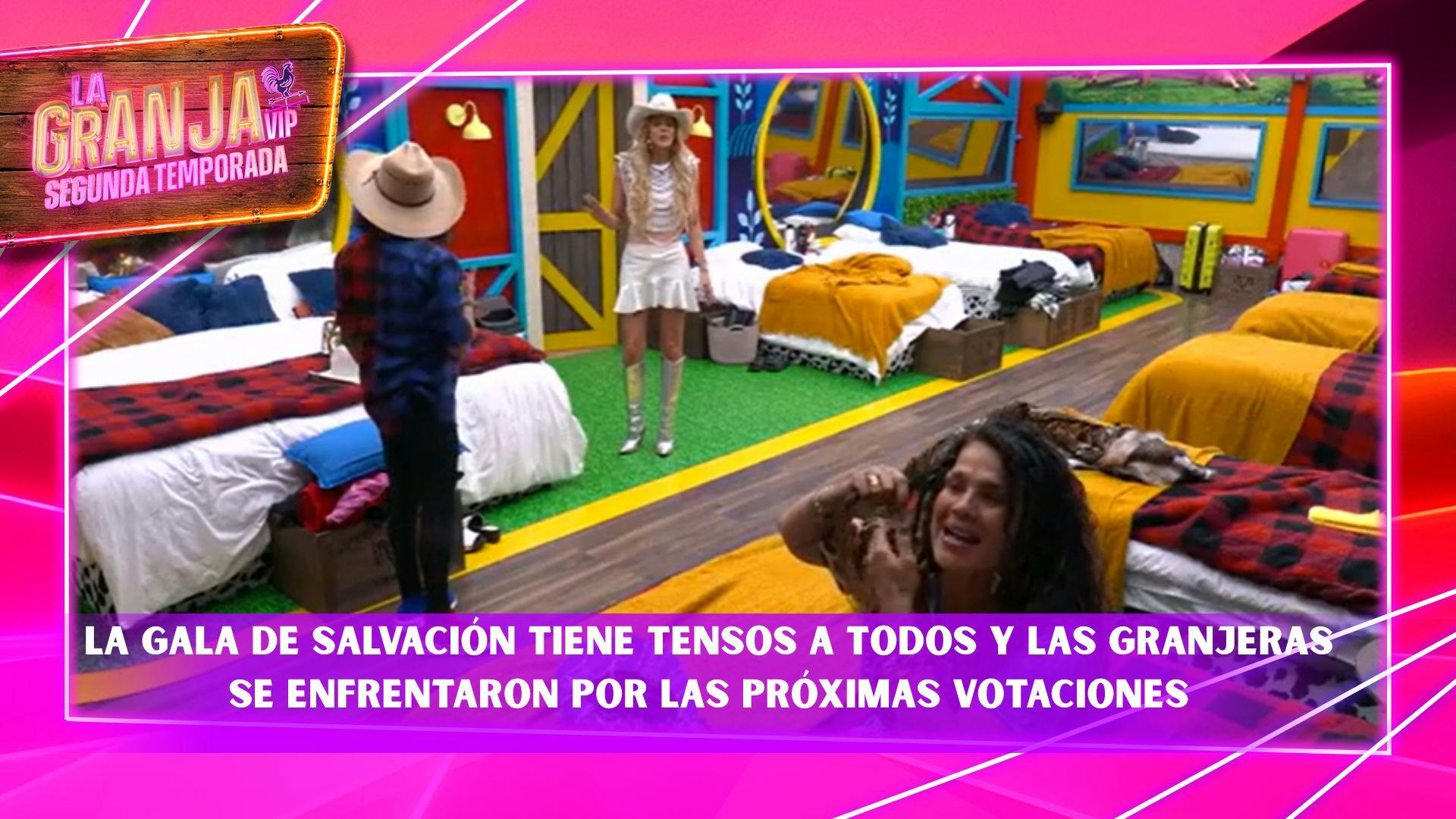 “Loca, manipuladora, descarada”, así fue el encontronazo entre Niurka y Natalia Alcocer previo a la Gala; esto fue lo que pasó