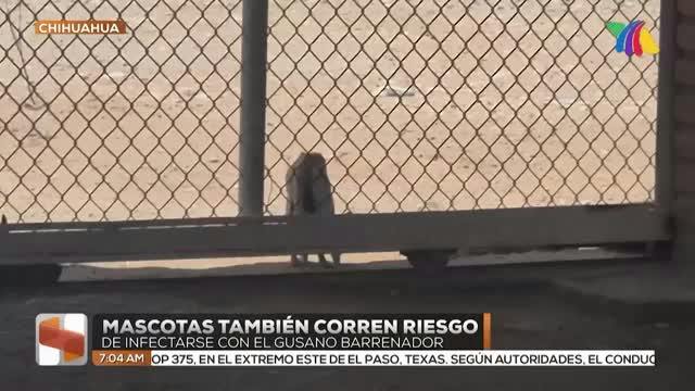 Noticias Ciudad Juárez del 23 de julio 2026