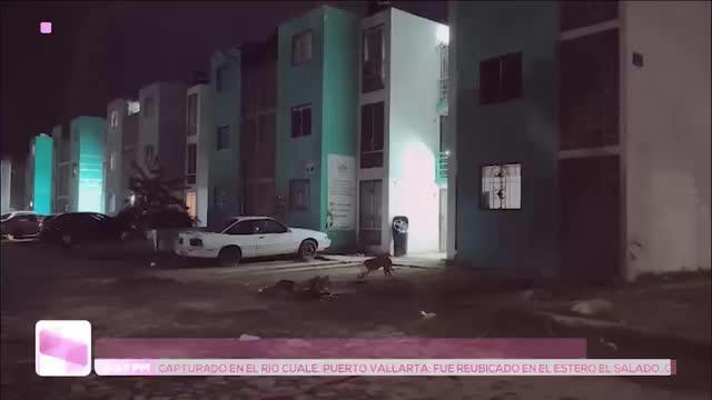 Noticias Jalisco del 27 de julio 2026