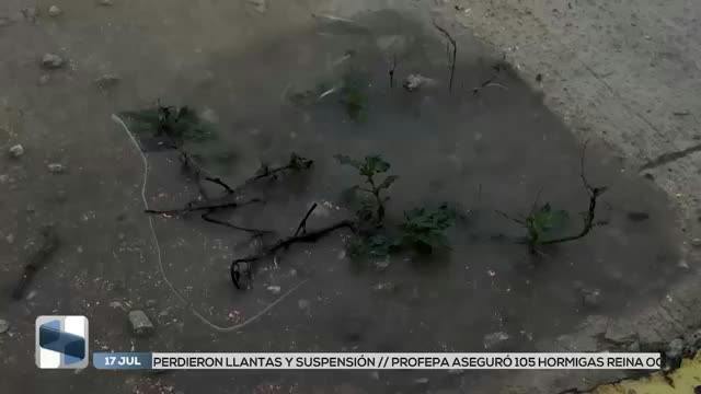 Noticias Yucatán del 17 de julio 2026