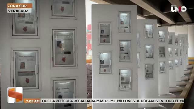 Noticias Veracruz del 12 de agosto 2026